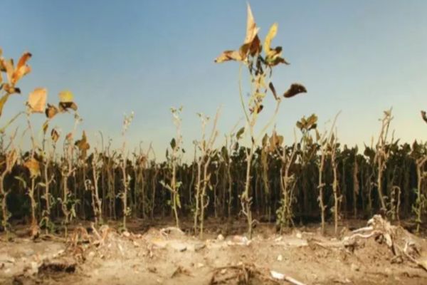 România riscă să piardă o jumătate de MILIARD de euro pentru agricultură. Avertisment fără precedent de la Bruxelles - DOCUMENT EXCLUSIV