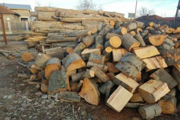 Prețul lemnelor, PLAFONAT la 400 de lei pe metru cub, în loc de 500. Modificare de ultim moment