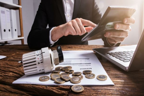 Cum a reușit să influențeze Curtea Constituțională a României piața de energie