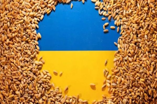 Liderii politici cer Comisiei Europene interzicerea importurilor agricole din Ucraina. UE, plan împotriva cerealelor care i-au nenorocit pe fermierii români