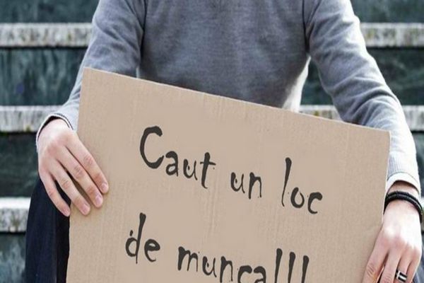 Industria IT, unul dintre motoarele economiei românești, în criză. Se fac concedieri masive