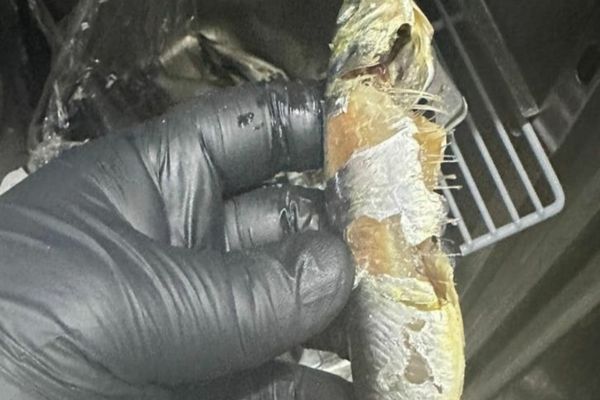 Dezastru în Mall Băneasa. Culoar de aprovizionare al magazinelor cu gândaci şi şoareci morți FOTO/VIDEO