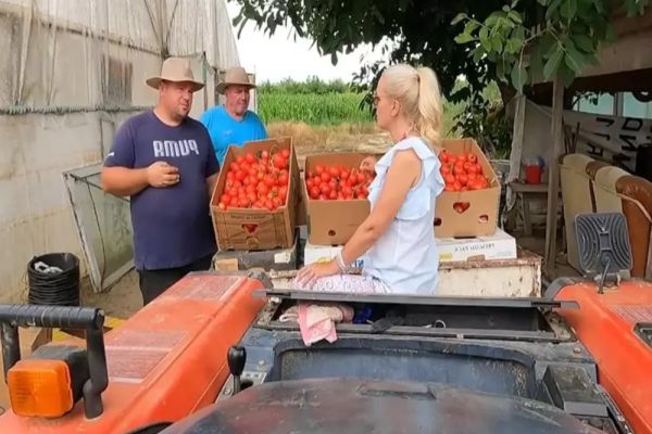 România văzută din tractor. Producătorii cinstiți sunt dați la o parte de importuri