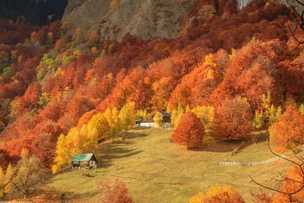 Numărul turiștilor străini care au ajuns în România a crescut cu 23%