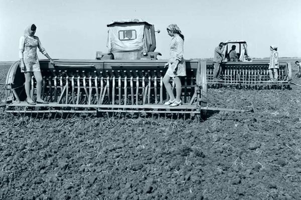 Ce s-a ales de CAP-iștii lui Ceaușescu. Câți bani primesc cei mai săraci pensionari?