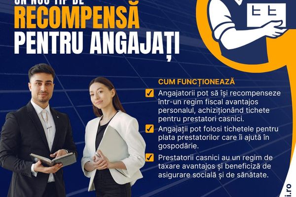 Salariații vor putea primi tichete de activități casnice. Cine poate beneficia de această facilitate?
