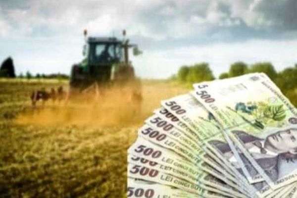GUVERNUL AMÂNĂ PLĂȚILE FERMIERILOR AFECTAȚI DE SECETĂ ȘI RĂZBOI