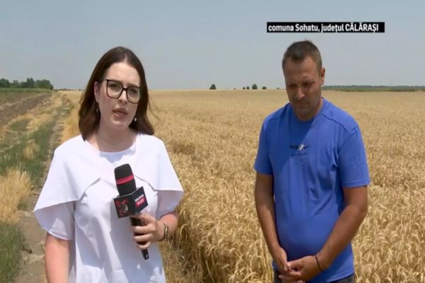 DISPERARE PE CÂMPURILE ROMÂNIEI. FERMIERII NU ÎȘI SCOT BANII INVESTIȚI DIN RECOLTE. ”SUNT PREȚURI CARE ERAU ACUM 10 AI. NE GĂSESC NOD ÎN PAPURĂ SĂ NU VINĂ SĂ IA MARFA”