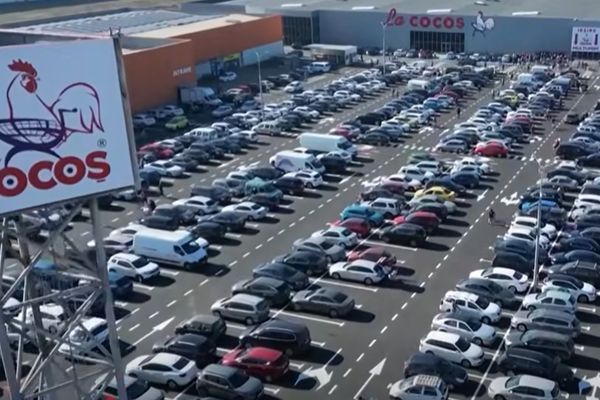 Investigație Consiliul Concurenței: De ce tranzacția La Cocoș (Schwarz) ar putea afecta furnizorii și consumatorii