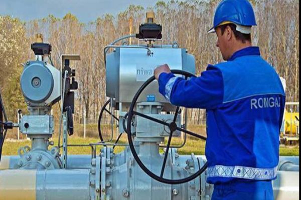 Romgaz vrea să devină furnizor de gaze și energie electrică. De când ar urma să intre pe piață?