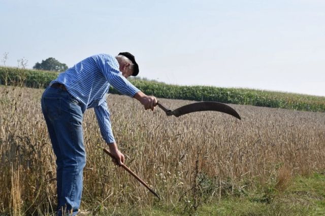 Prețul pentru îngrășământ s-a dublat. Alimentele vor deveni mult mai scumpe