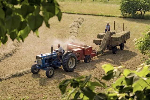 Fermierii români trag un semnal de alarmă: explozia prețurilor la îngrășăminte pune agricultura sub presiune
