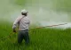EUROSTAT: Vânzările de pesticide din UE au crescut cu 8% în 2024