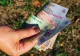 Cine sunt românii care primesc 2.250 de lei lunar la salariu? Anunțul momentului făcut de Ilie Bolojan