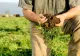 Ultimatum dat liderilor politici de reprezentanții mediului agricol, reuniți la Neptun: Învestirea unui guvern stabil în 20 de zile sau alegeri anticipate
