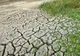 Suprafețele artificiale lipsesc într-o țară cu terenuri agricole lăsate pârloagă