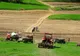 Guvernul majorează fondurile pentru Agenția de Plăți în Agricultură