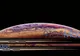 Fanii Apple și bursele așteaptă azi lansarea a trei modele iPhone