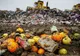29 septembrie, Ziua internaţională de conştientizare a risipei alimentare. România e pe locul 9 în UE