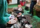 Alimentele contaminate OMOARĂ anual 420.000 de oameni - apel la responsabilitate făcut de OMS