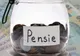 Pensiile ar putea crește de la 1 ianuarie 2023 cu un procent între 10%-15% - Anunțul lui Marcel Ciolacu