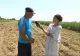 Fermierii sunt la capătul puterilor. Seceta și nepăsarea autorităților le-au ruinat toată munca. Un reportaj marca Realitatea Plus