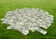 Dolarul, spre cea mai mare creștere față de euro din ultimele 14 luni. Impactul pentru România