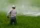 EUROSTAT: Vânzările de pesticide din UE au crescut cu 8% în 2024