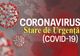 Curtea de Conturi: Prejudiciu sub 1% la plățile sociale din timpul stării de urgență